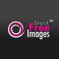 הורדת תמונות חינם מ- Free Images