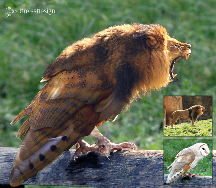 collage1-owlion-photoshop-example